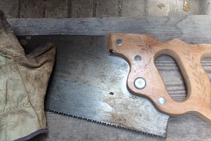 Hand Saw and Leather Gloves